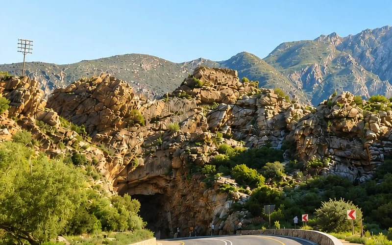 Montagu R62 road trip